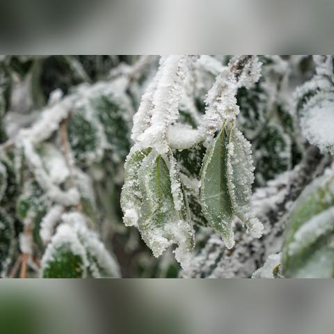 湖南长沙天气15天情况与张家界旅游攻略,出行前必看指南 湖南长沙天气15天情况与张家界旅游攻略,出行前必看指南