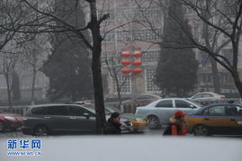 北京的天气，四季分明与都市生活的交响曲
