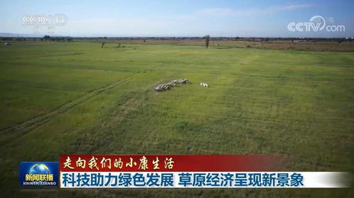乌审旗天气预报,草原气候的日常守护者 乌审旗天气预报,草原气候的日常守护者