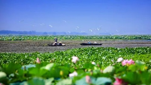洪湖天气,水乡的呼吸与时光 洪湖天气,水乡的呼吸与时光