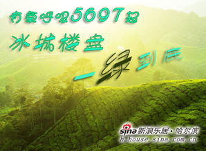 冰城的呼吸 冰城的呼吸