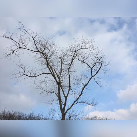 江苏南京明天天气,多云转晴,气温回升,适宜出行 江苏南京明天天气,多云转晴,气温回升,适宜出行